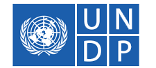 partner-UNDP